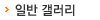 �Ϲݰ�����