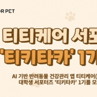 티키타카 이미지