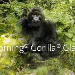 Corning’s ‘Gorilla Glass Victors 2’…  Check the installation of the next Galaxy S23 series