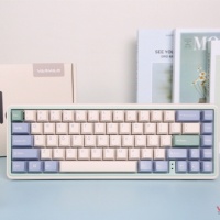 Funkeys, aesthetics of understated sensibility.  Launched Varmilo Minilo, a 67-key mini mechanical keyboard